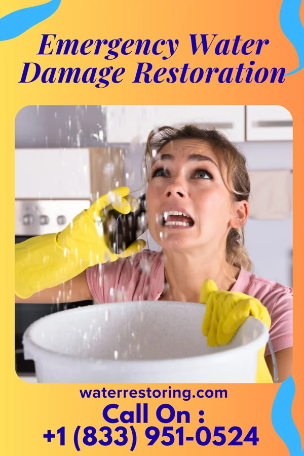 Emergency Water Damage Restoration in Browntown, WI