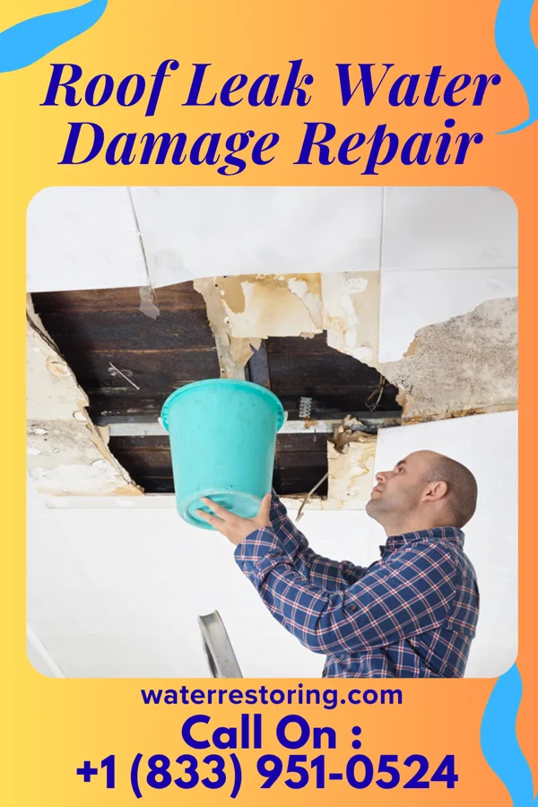 Roof Leak Water Damage Repair in Browntown, WI