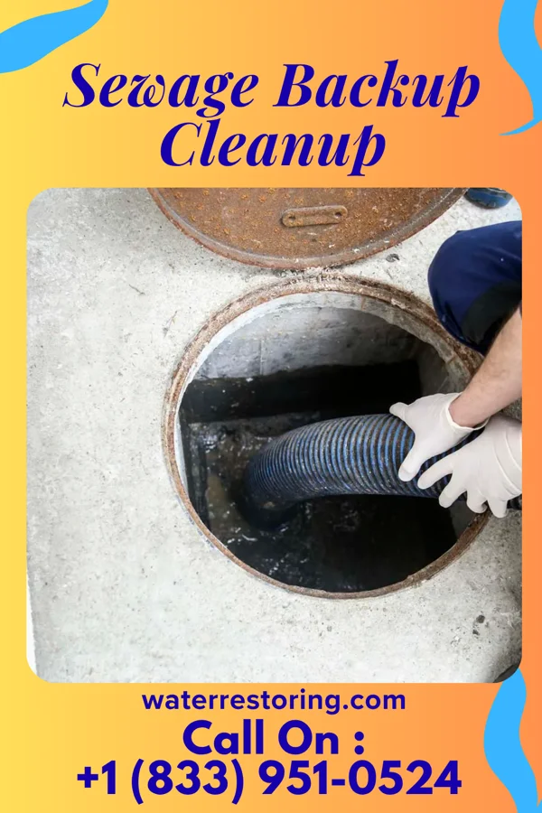 Sewage Backup Cleanup in Browntown, WI